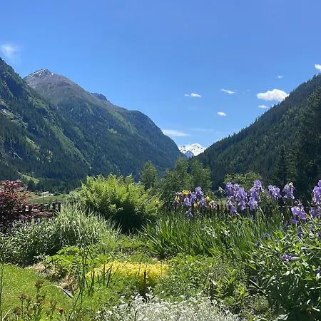 Sonnenheim Appartement