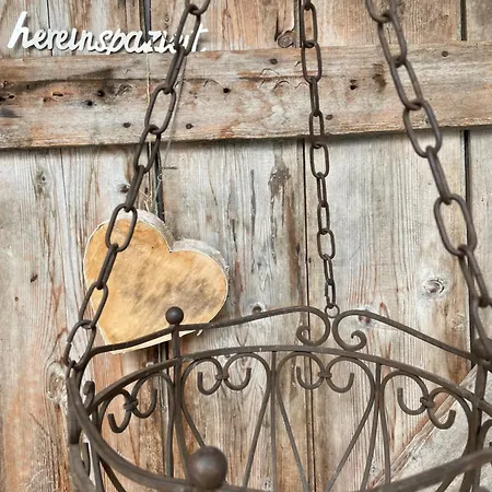 Apartment Sonnenheim *