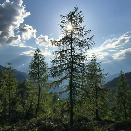 Apartment Sonnenheim *